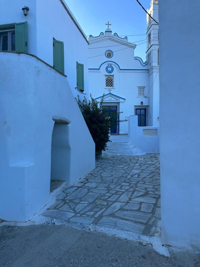 Cycladic House With Amazing View In Potamia Village Dio Choria Exteriér fotografie